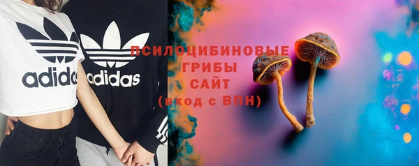 гашик Верхний Тагил